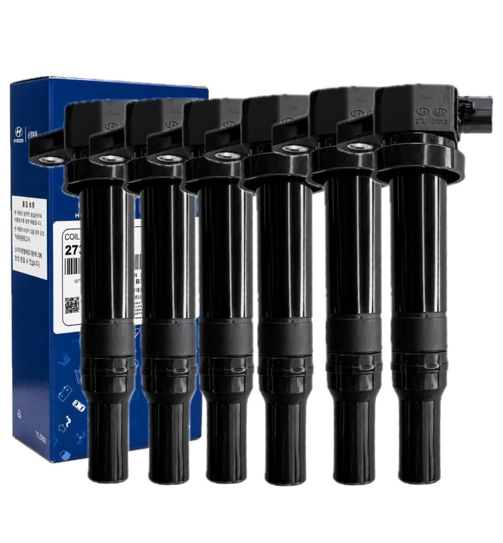 6 Bobina Ignição Santa Fe Azera V6 27301-3e400